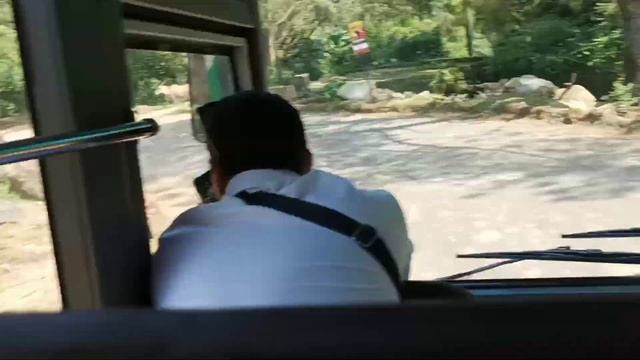 Serunya Liburan Ke Taman Safari Bogor Terbaru Agustus 2023 | Safari Journey | Part 1 смотреть онлайн