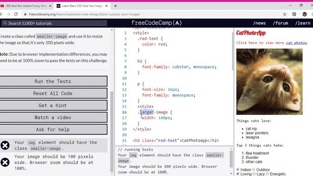 Learn Basic CSS Size Your Images freeCodeCamp org Google Chrome 2019 11 26 12 26 28 смотреть онлайн