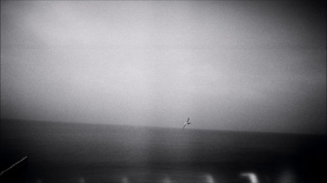 shxpe - sea of dreams смотреть онлайн