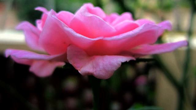 Хорошая русская мелодия о любви онлайн смотреть онлайн