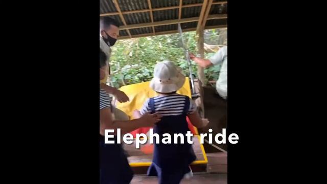 Asyiknya Staycation di Bali Safari & Marine park смотреть онлайн