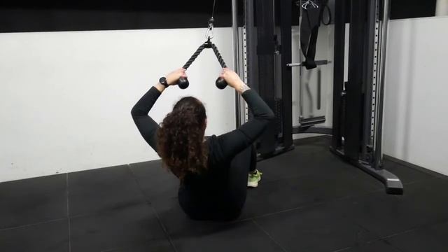 Seated Face Pull смотреть онлайн