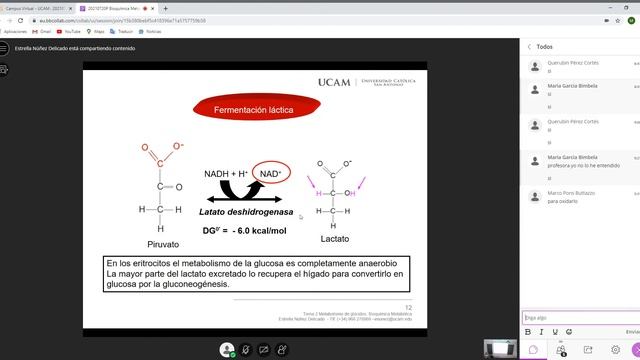 20210720P Bioquímica Metabólica Sala del curso Bb Collaborate Google Chrome 2021 02 15 08 47 смотреть онлайн