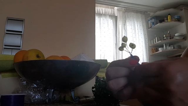 Как сделать веточку с ягодами, очень простой способ. смотреть онлайн