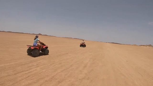 Сафари Марса Алам Fantasia resort 5 смотреть онлайн