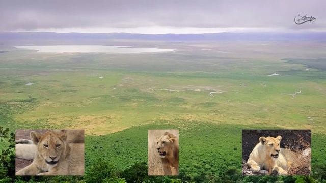 Glampers Overview: &BEYOND’s Private Jet Journeys, Is it the ultimate Safari? смотреть онлайн