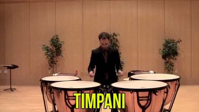 Percussion Instruments for Kids - Demonstration and Sounds of Best Percussion Instruments смотреть онлайн