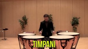 Percussion Instruments for Kids - Demonstration and Sounds of Best Percussion Instruments