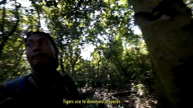 Chitwan National Park - Jungle Walk , A Complete Tour Guide || Encounter with One Horned Rhino смотреть онлайн