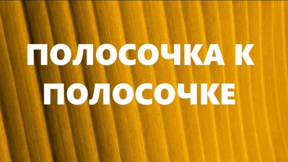 Косметички из узких полосок.Шитьё из полос.(октябрь 2024г) смотреть онлайн