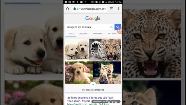 Como baixar foto do Chrome para o celular смотреть онлайн