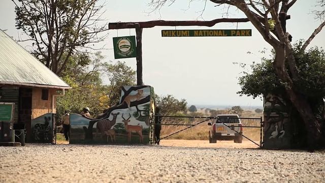 #DL TANZANIA YAFUNGUA UTALII NCHINI смотреть онлайн