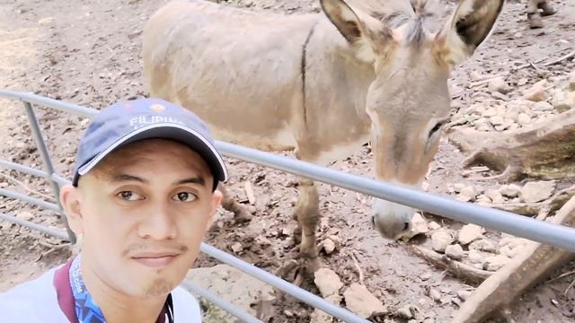 CEBU SAFARI | Adventure Park смотреть онлайн