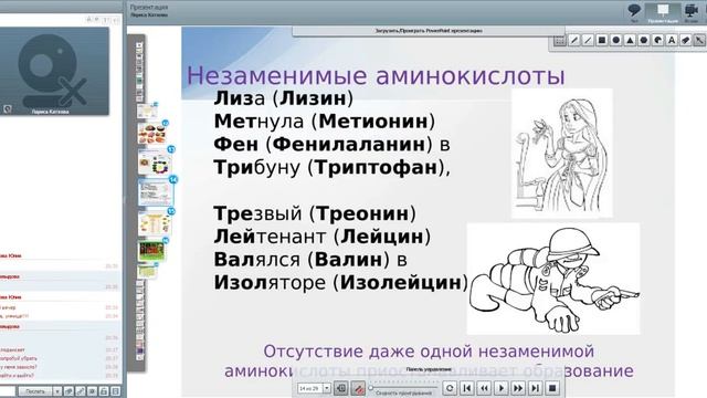 Вэлнэс прокачка. Белки