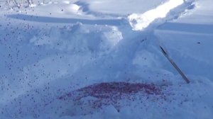 НУБ ВЗРЫВАЕТ ТНТ! Как сделать взрыв ТНТ! Динамит в реальной жизни! Взрывы! Желе,  какао, петарда!