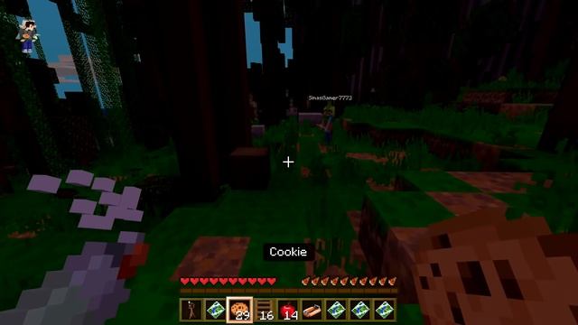 Minecraft Bedrock Safari World.. Can We Find All The Animals?! смотреть онлайн