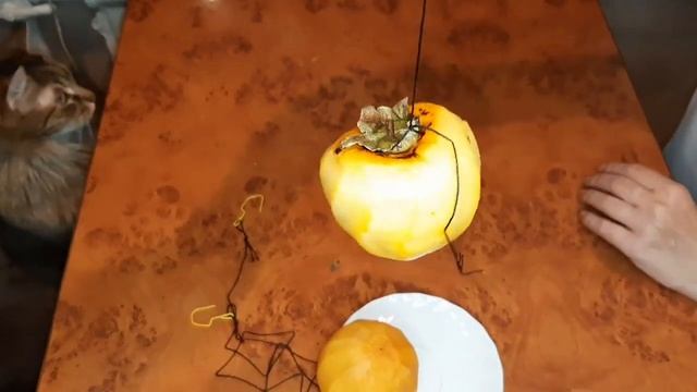 ВЯЛЕНИЕ ХУРМЫ смотреть онлайн