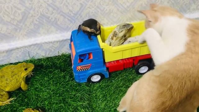 Warriors frog protect cute baby frog 🐸 brave family frog смотреть онлайн