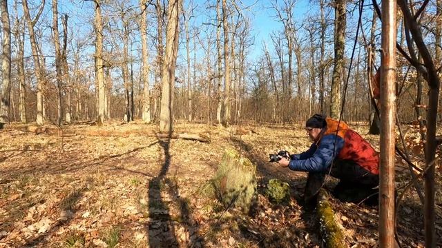 Die Kleinen und Unscheinbaren Motive im Wald смотреть онлайн
