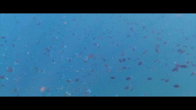 Safari Island Resort Maldives