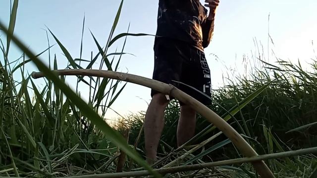 Рыбалка на карася