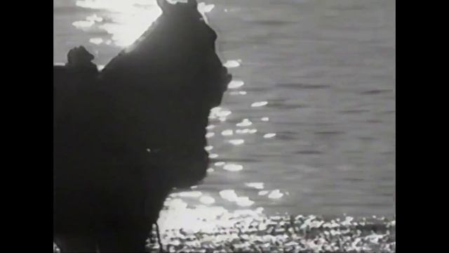 Safari Cologne Commercial (1993) смотреть онлайн
