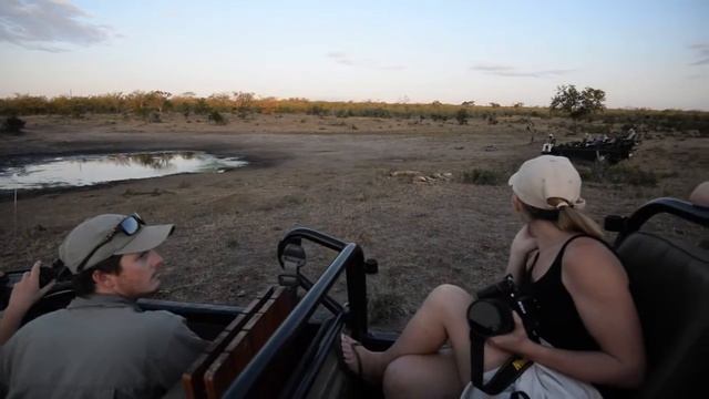 Inyati Game Lodge - An all-inclusive Safari Experience смотреть онлайн