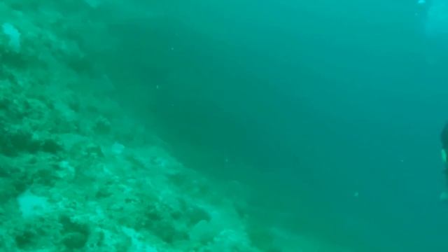 AKASO BRAVE 7 LE DIVING DEEP смотреть онлайн