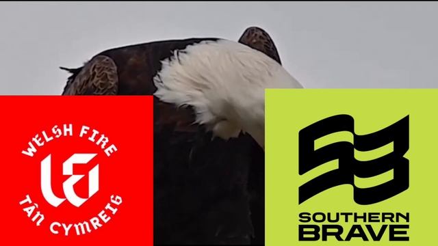 Welsh Fire vs Southern Brave Prediction - The Hundred - Eagle Prediction смотреть онлайн