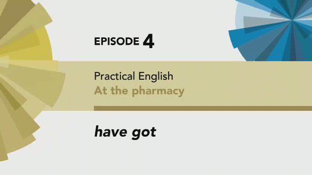 English File 4 edition Pre-intermediate Practical English Episode 4 have got смотреть онлайн