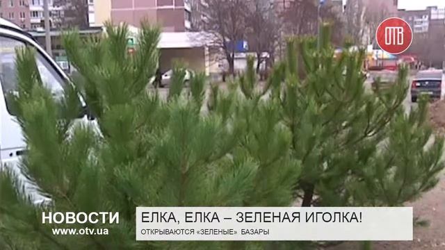 Открываются «зеленые» базары (08.12.2015) смотреть онлайн