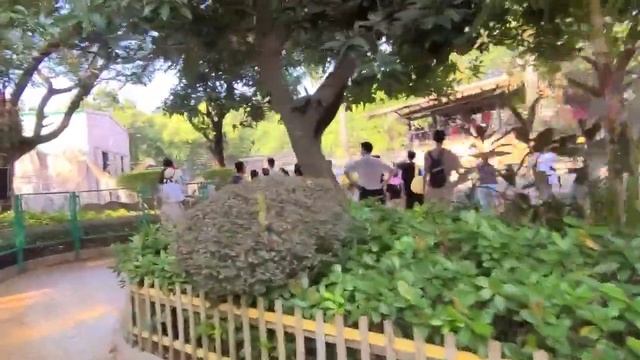 Shenzhen (China) Safari Park | Part 2 смотреть онлайн