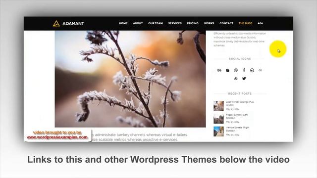 Adamant Wordpress Theme - Wordpress Theme Adamant - Video and Preview смотреть онлайн