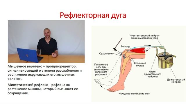Отрывок из урока по правилам ММТ