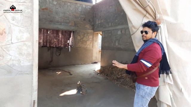 Elephant Village Jaipur | हाथी गांव जयपुर | Detailed Video смотреть онлайн