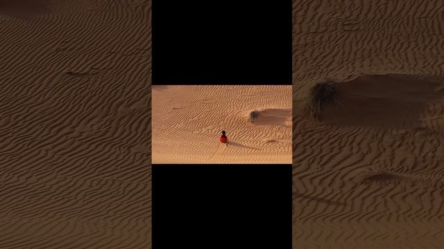 Desert Safari funny Break Evida #sandboarding #desertsafari #dubai #malayalam #drivingfails смотреть онлайн