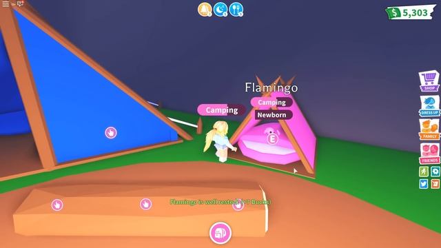 Pink Flamingo! Roblox: 🦁NEW PETS!🦁 Adopt Me смотреть онлайн