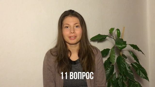15 ВОПРОСОВ ИЗ ШКОЛЬНОЙ ПРОГРАММЫ смотреть онлайн