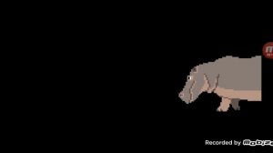 The Kids Picture Show African Safari Animals