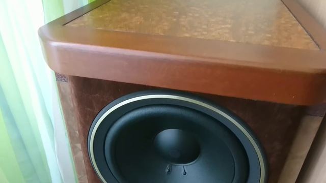 Pioneer T-1100s + Pioneer S-1000s