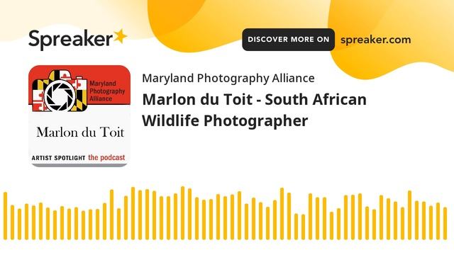 Marlon du Toit - South African Wildlife Photographer смотреть онлайн