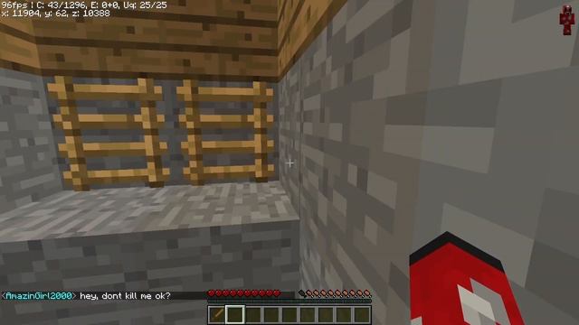 EaglercraftX 1 8 Google Chrome 2024 01 10 17 18 08 смотреть онлайн