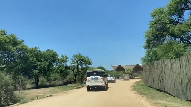 Lion & safari park | Johannesburg | South Africa смотреть онлайн