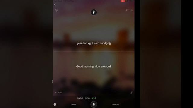 How to use Microsoft Translator App смотреть онлайн