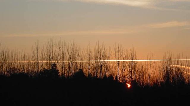 John McDermott - Morning Has Broken смотреть онлайн