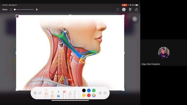CONTINUATION MUSCLES OF HMA LECTURE mp4 Google Drive Google Chrome 2021 09 29 13 08 48 смотреть онлайн