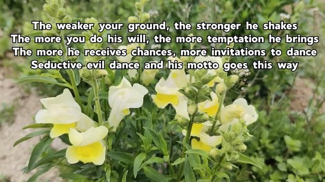 Song Of Life/ Country Gospel Music With Lyrics смотреть онлайн