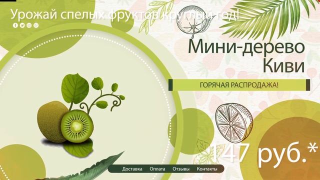 Где в новосибирске. Где же купить? дерево лимон смотреть онлайн