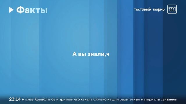 Длинный фрагмент эфира (ТН HD, 26.10.2024, 1080p) смотреть онлайн