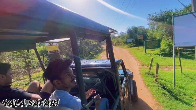 Ridiyagama Safari Park | Birds Park Hambanthota | Yala Safari смотреть онлайн